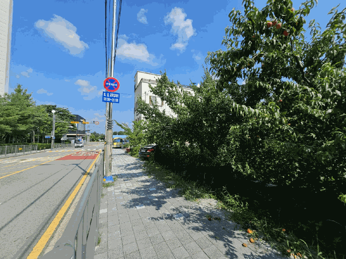 북측 인접 도로