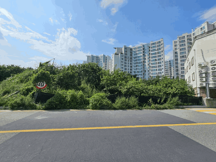 본건 전경
