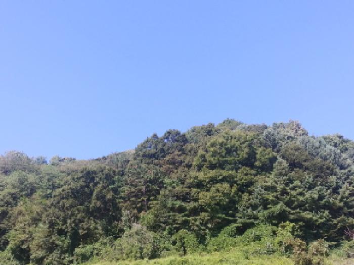 토지 전경