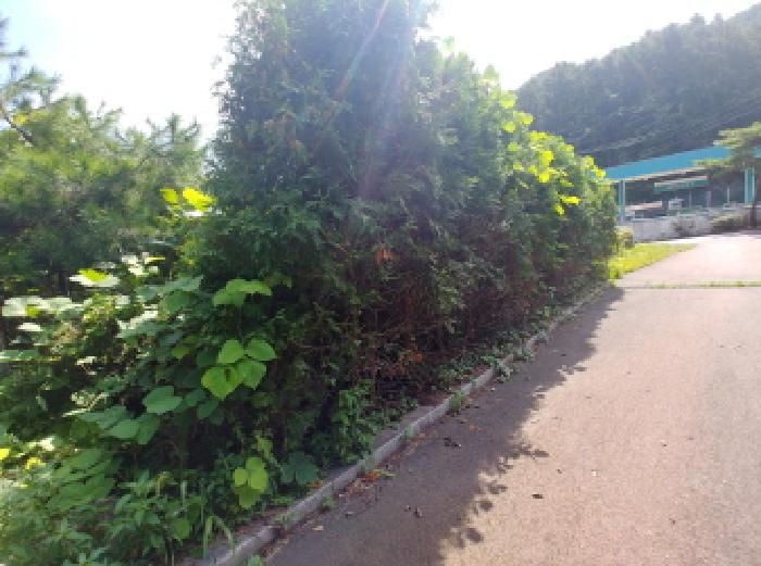 목록3번 토지전경