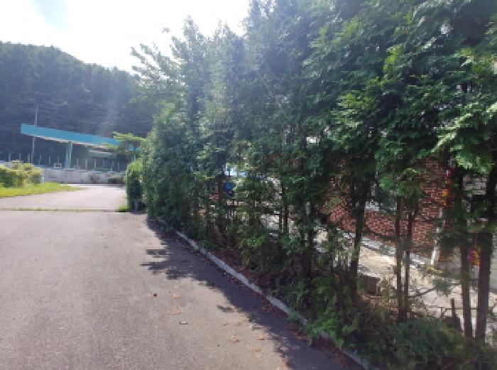 목록3번 토지전경