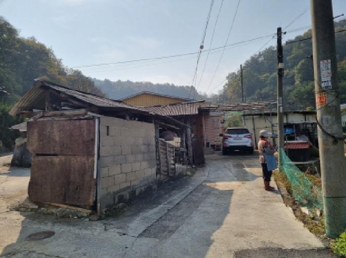 전경