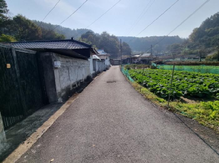 전경(북쪽 부분 도로)
