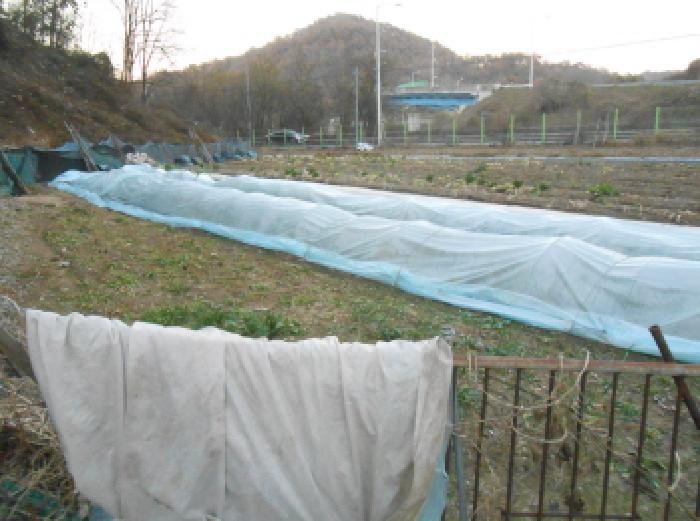 전경