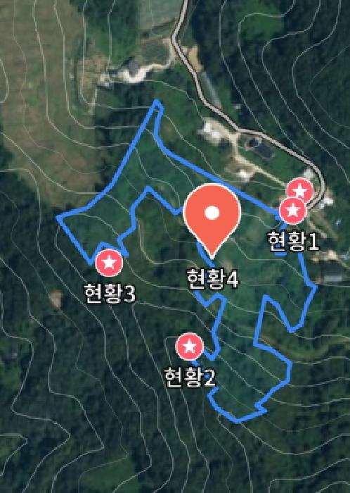 목록4 위성사진