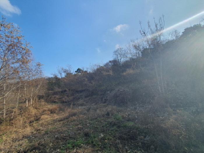 목록6 토지전경