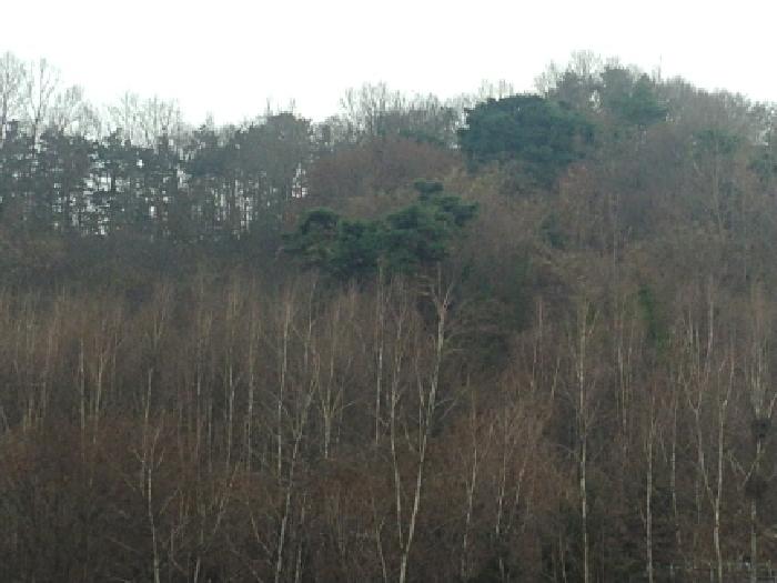 목록2,3,4,6 토지전경
