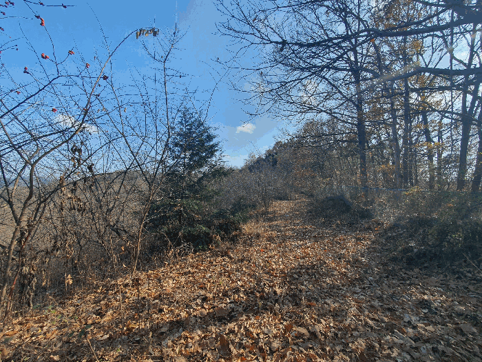 일련번호(2)