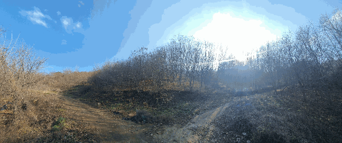 일련번호(6)