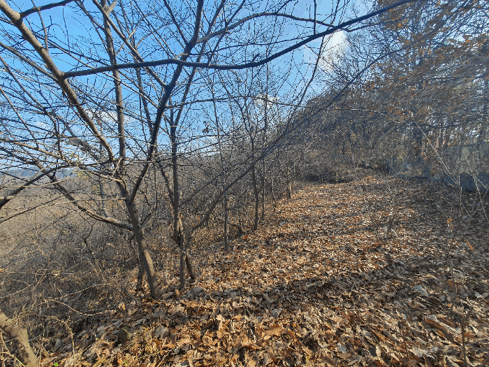 일련번호(2)