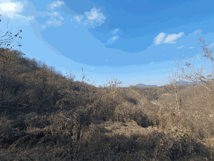 일련번호(4)