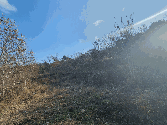 일련번호(6)