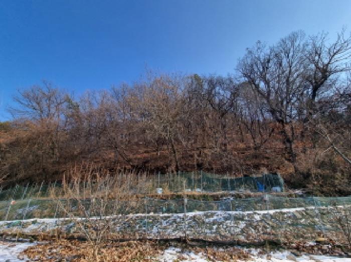 목록3 전경