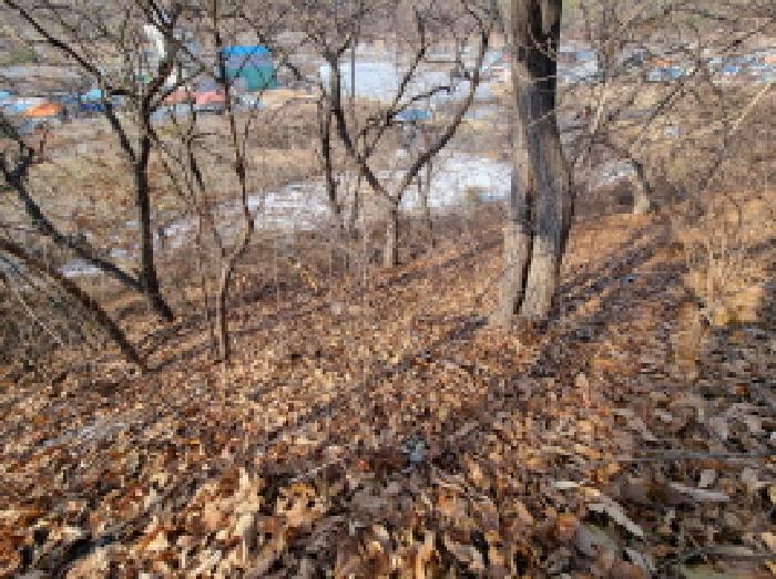 목록3 전경