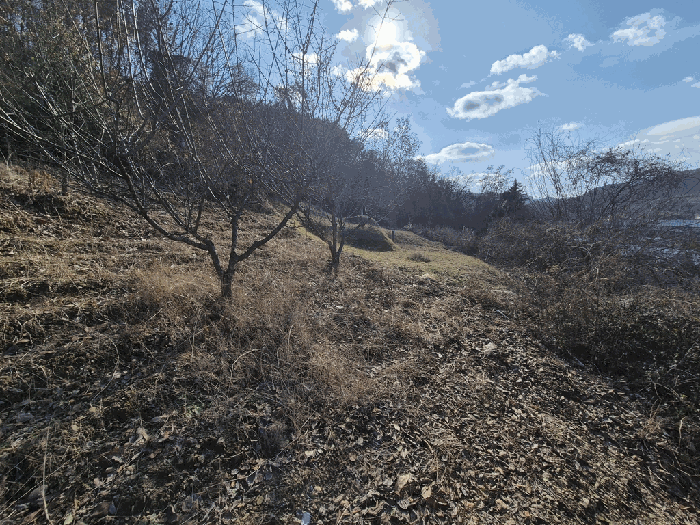 기호(2) 전경(북서측에서 촬영)