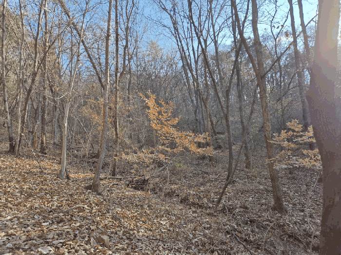 기호(4) 전경(북서측에서 촬영)