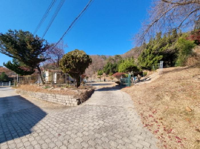 전경
