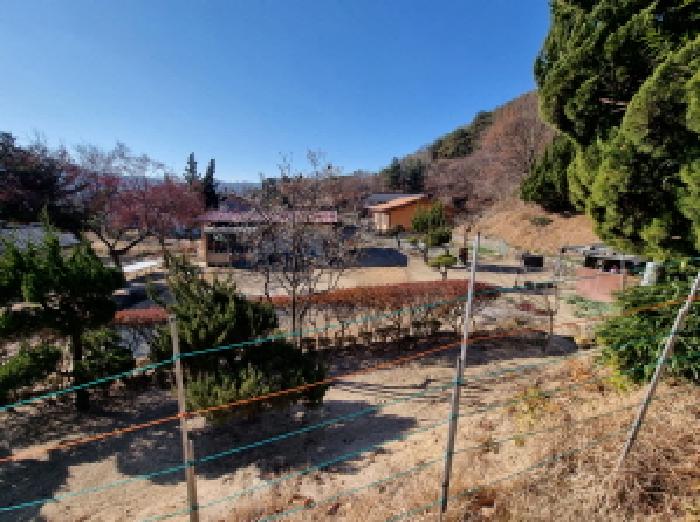 전경