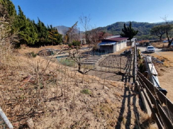 전경