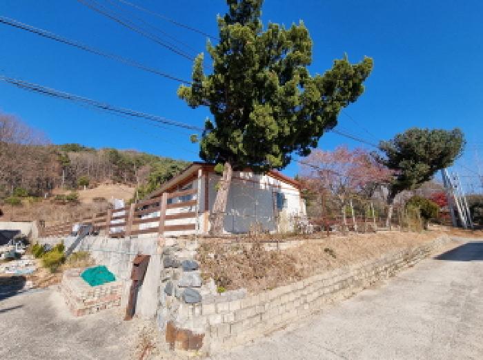 전경