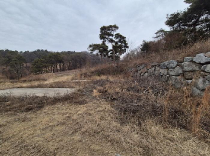 전경