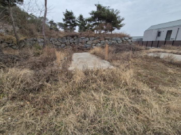 전경