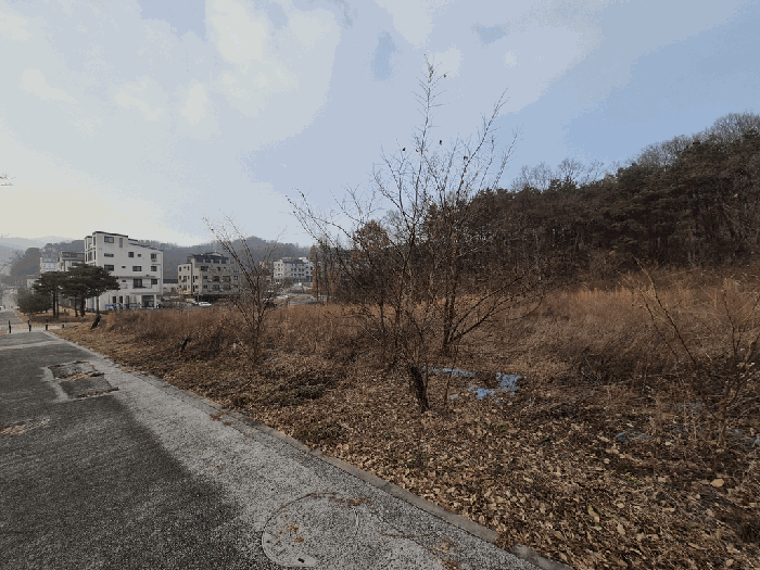 본건 전경(북동측에서 촬영)