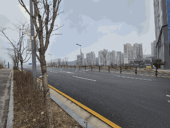 본건 동측 접면 도로