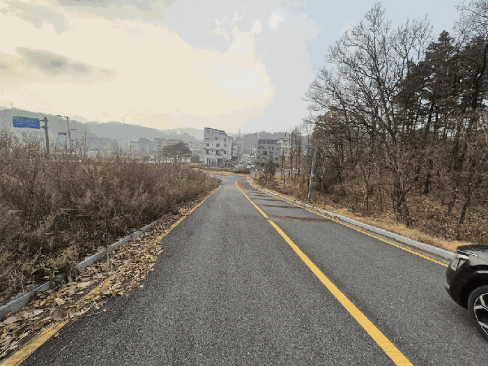 본건 서측 접면 도로