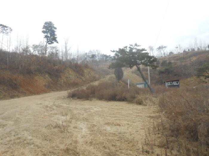 전경