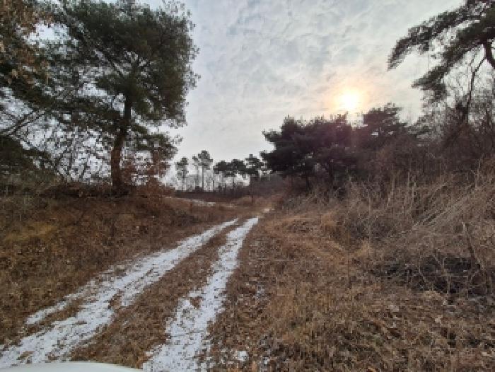 진입로