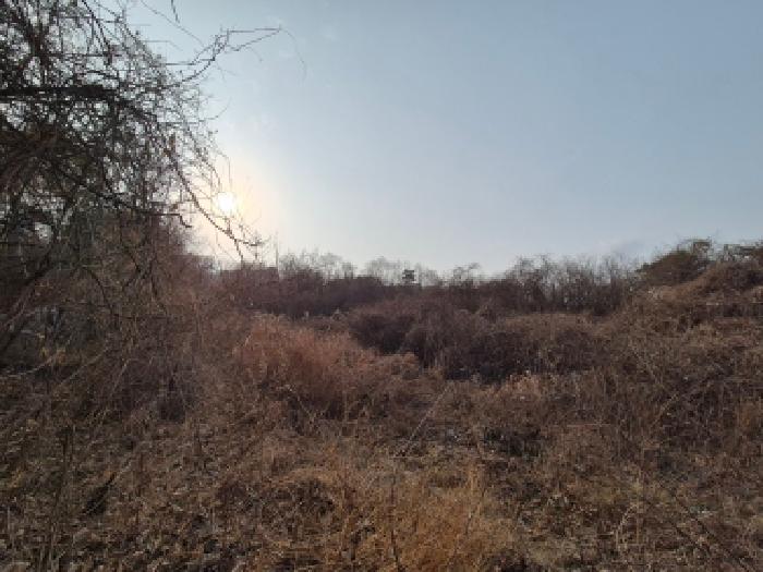 전경