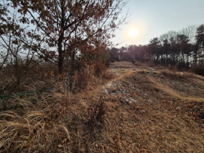 분묘 전경