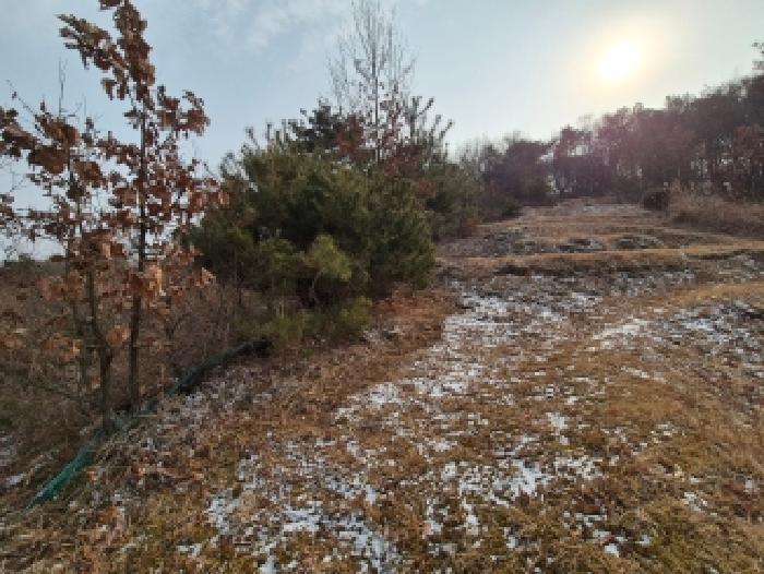 분묘 전경