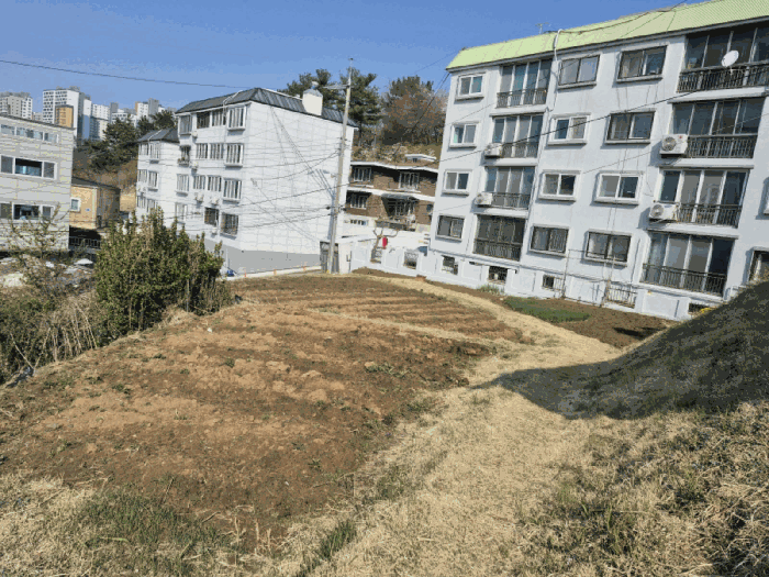 본건 전경