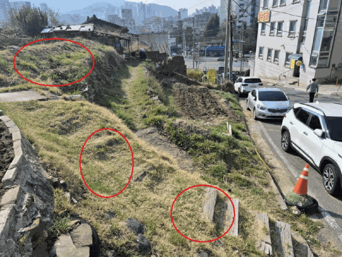 본건 전경
