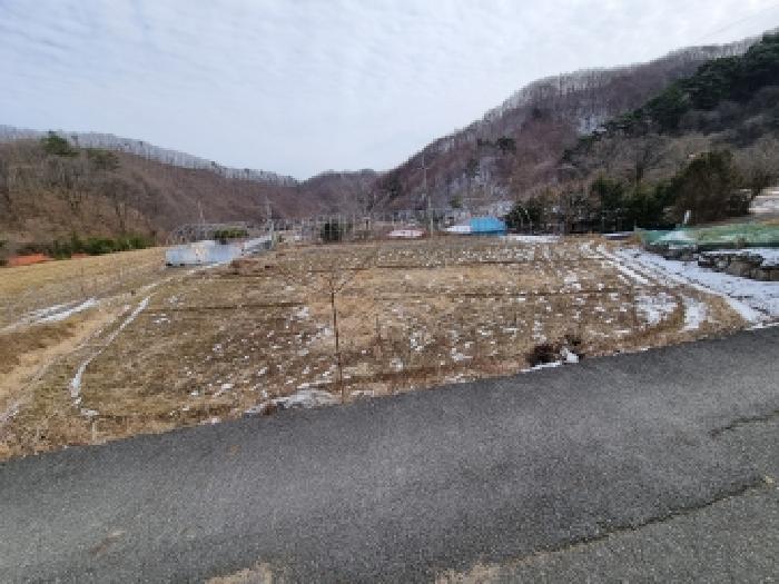 목록6 전경