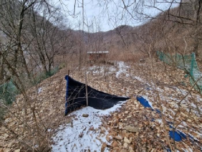 목록1 토지 전경