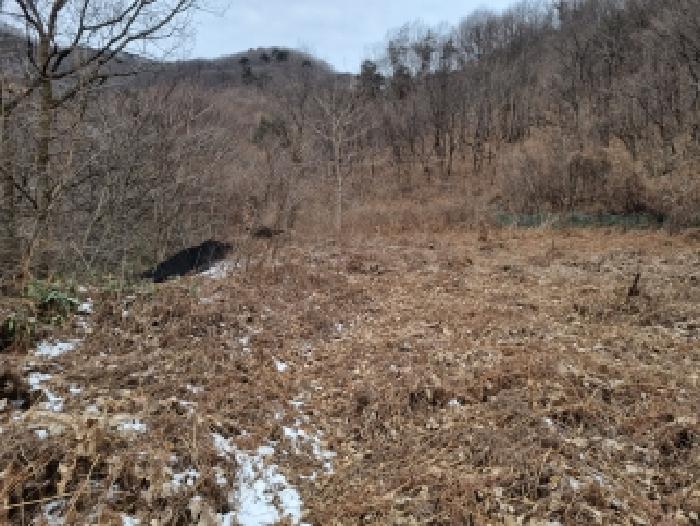 목록1 전경