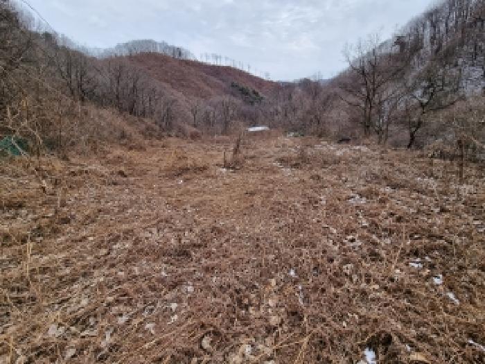 목록1 전경