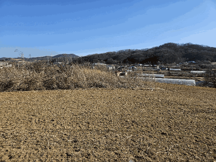 본건 토지전경