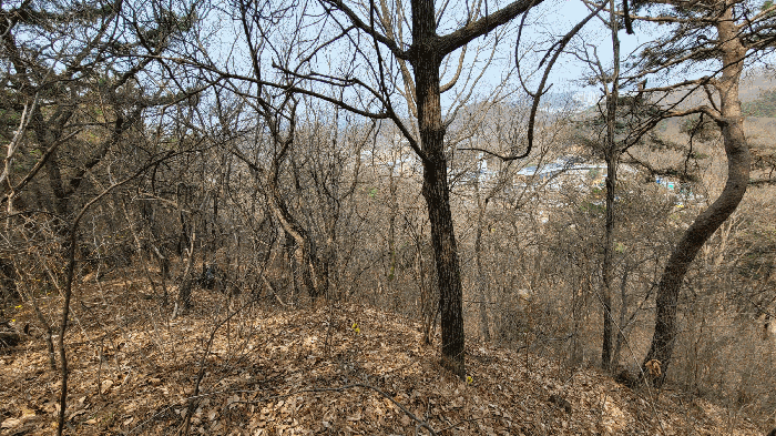 본건 근경(남동측에서 촬영)