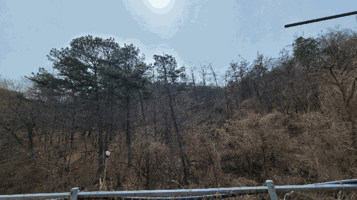 본건 근경(북측에서 촬영)
