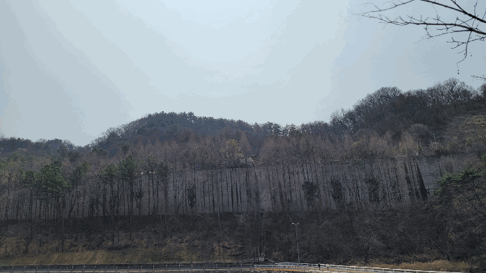 본건 원경(북측에서 촬영)