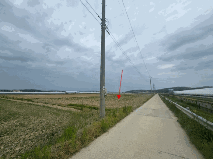 본건 전경(남동측)