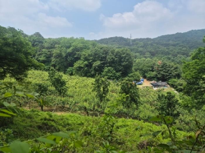 전경