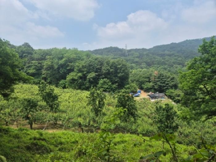 전경