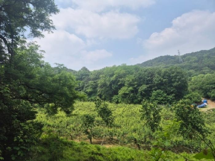 전경