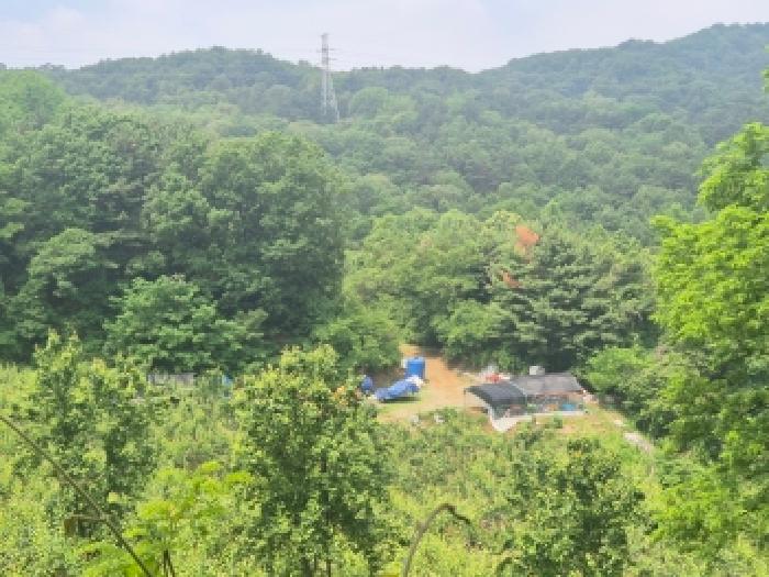 전경