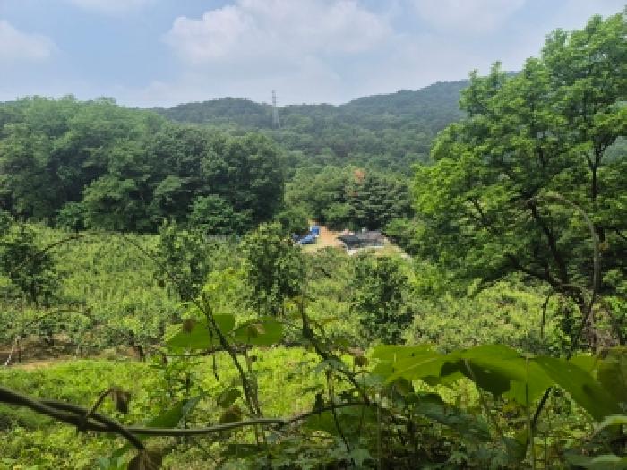 전경